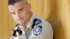 S1 E10: RSPCA Animal Rescue