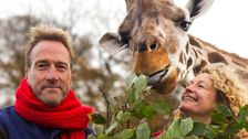 S17 E14: Animal Park