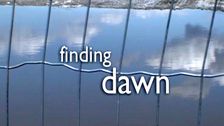 Finding Dawn