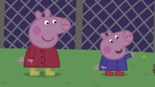 S4 E35: Night Animals
