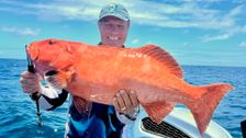 S27 E7: Escape Fishing with ET