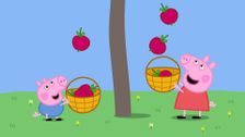 S3 E46: The Blackberry Bush