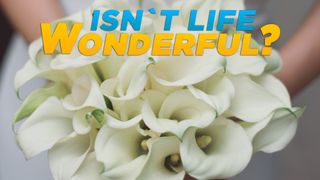 Isn't Life Wonderful?