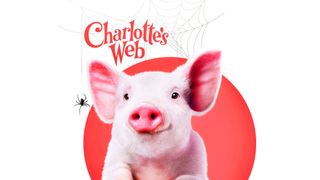 Charlotte's Web