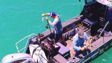 S27 E19: Escape Fishing with ET