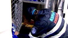 S4 E7: RSPCA Animal Rescue