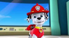 S1 E20: Pups go all monkey; Pups save a hoot