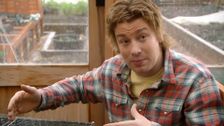 S2 E6: Eggs