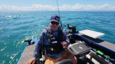S10 E7: Kingfish & Kina