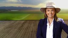 S35 E18: Landline