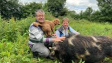 S15 E8: The Yorkshire Vet