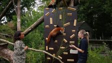 S17 E8: Animal Park