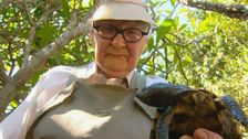 S1 E5: RSPCA Animal Rescue