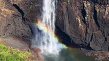 S376 E4: Rainforest Rangers: Weather in the Rainforest