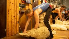 S12 E4: Shearers, NSW