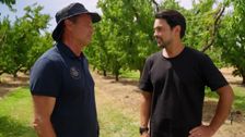 S7 E80: Farm To Fork