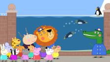S5 E15: The Zoo