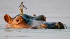 S2 E3: Andy and the Hippos