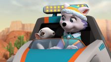 S8 E26: Pups Stop a Big Leak; Pups Save a Baby Anteater; Pups Save a Hatch Day; Pups Save the Munchie Mobile