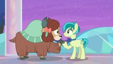 S9 E7: She's All Yak