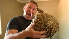 S5 E5: Saving the Pangolins