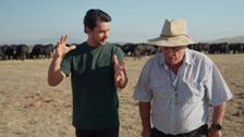 S7 E44: Farm To Fork