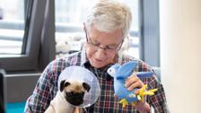 S8 E4: Paul O'Grady: For the Love of Dogs