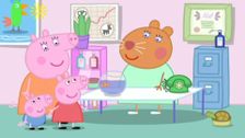S4 E13: The Flying Vet