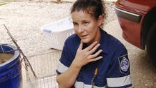 S4 E1: RSPCA Animal Rescue