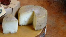 S3 E8: USA: New Farmstead Cheeses of Northern California