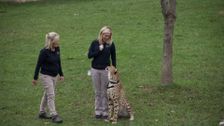S1 E2: Run Cheetah Run