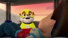 Pups Save Apollo
