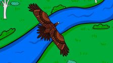 S1 E2: Mibunn - Wedge Tail Eagle