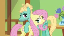 S6 E11: Flutter Brutter