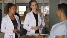 S4 E3: Newbies