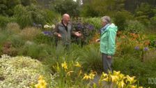 S31 E10: Gardening Australia