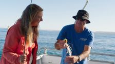 S17 E7: Destination WA