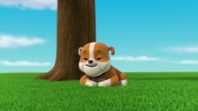 S8 E3: Pups Save a Rubble-Double; Pups Save a Clown