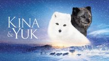 Kina & Yuk