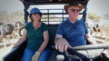 S1 E3: Heart of the Herd
