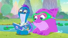 S2 E41: Colby The Narwhal