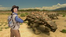 S1 E13: Ankylosaur and Club