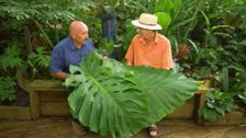 S30 E17: Gardening Australia