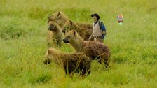 S2 E9: Andy and the Spotted Hyenas