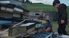 S2 E1: Tuhoe Tuawhenua Trust