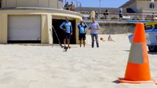 S12 E6: Bondi Rescue