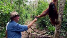 S1 E7: Dr Harry's Animal Encounters