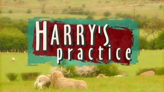 Harry's Practice