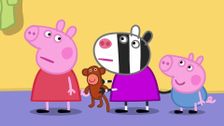 S9 E51: Monkey Trees