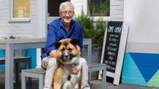 S8 E5: Paul O'Grady: For the Love of Dogs